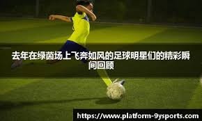 CBA季后赛：北京控股队主场战胜山东高速队