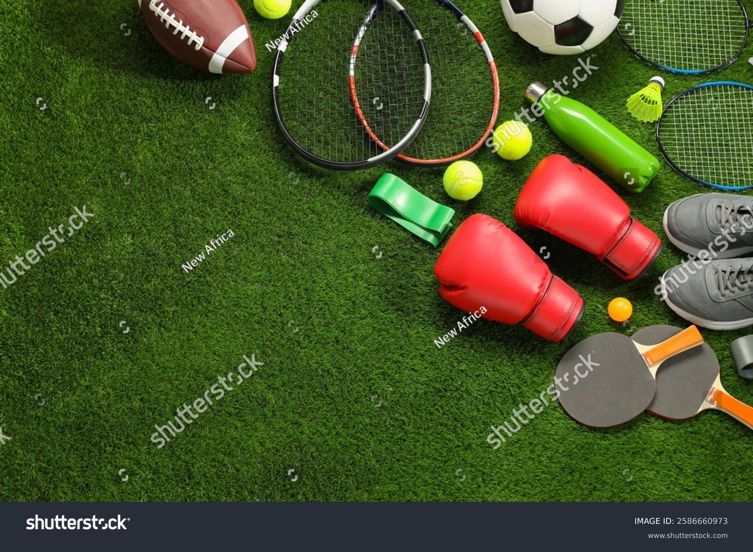 【日职】驿动的心 中央联盟版｜日本职棒